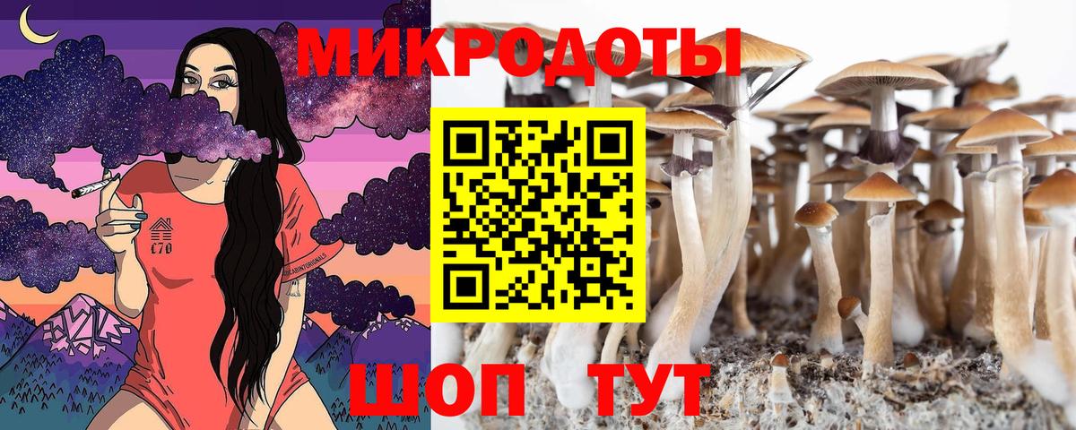 Псилоцибиновые грибы GOLDEN TEACHER Гурьевск