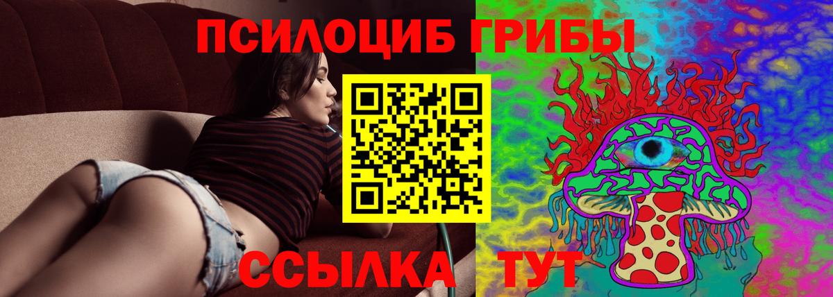 Псилоцибиновые грибы MAGIC MUSHROOMS  наркотики  Гурьевск  Вход с VPN 